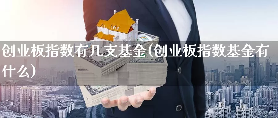 创业板指数有几支基金(创业板指数基金有什么)_https://www.chizhuzhu.com_期货直播室_第1张