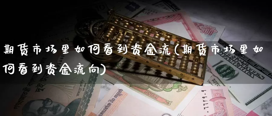 期货市场里如何看到资金流(期货市场里如何看到资金流向)_https://www.chizhuzhu.com_期货行情_第1张