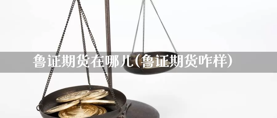 鲁证期货在哪儿(鲁证期货咋样)_https://www.chizhuzhu.com_期货直播室_第1张