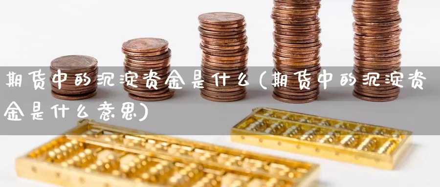 期货中的沉淀资金是什么(期货中的沉淀资金是什么意思)_https://www.chizhuzhu.com_期货行情_第1张