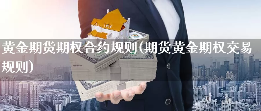 黄金期货期权合约规则(期货黄金期权交易规则)_https://www.chizhuzhu.com_期货入门_第1张