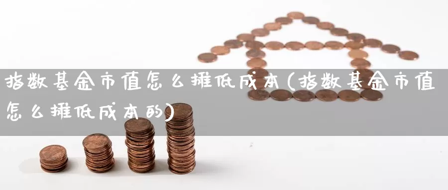 指数基金市值怎么摊低成本(指数基金市值怎么摊低成本的)_https://www.chizhuzhu.com_期货直播室_第1张