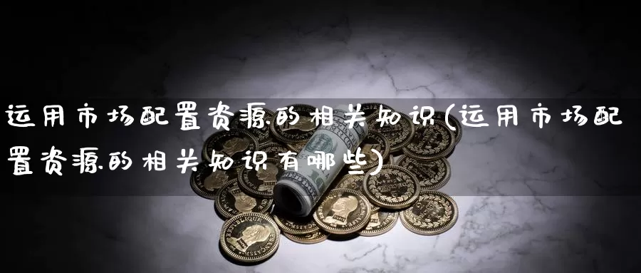 运用市场配置资源的相关知识(运用市场配置资源的相关知识有哪些)_https://www.chizhuzhu.com_期货行情_第1张