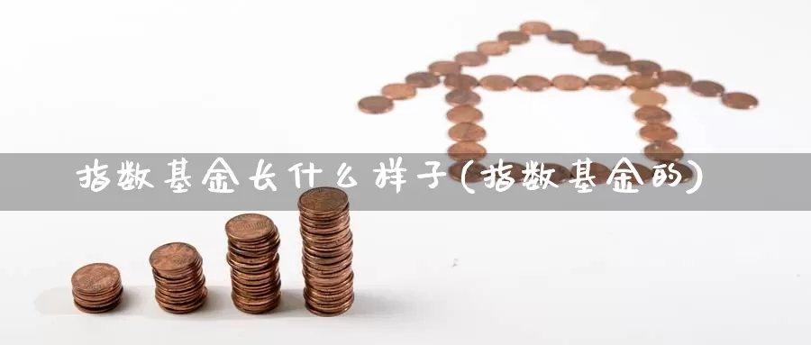 指数基金长什么样子(指数基金的)_https://www.chizhuzhu.com_期货直播室_第1张