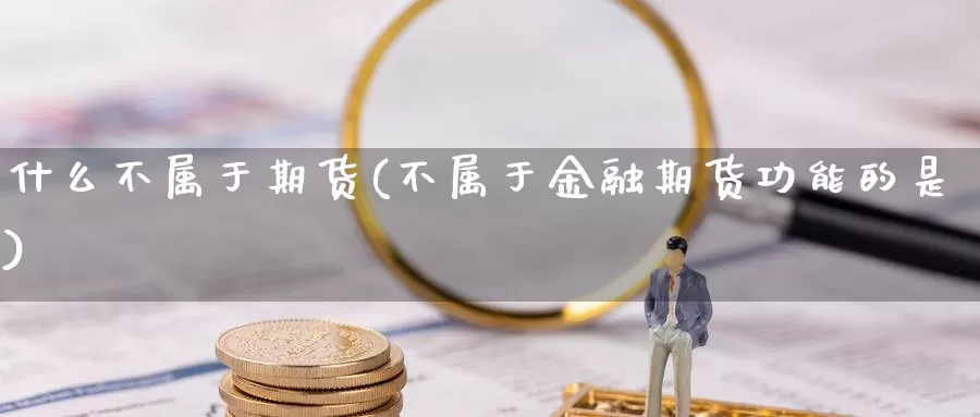 什么不属于期货(不属于金融期货功能的是)_https://www.chizhuzhu.com_期货行情_第1张