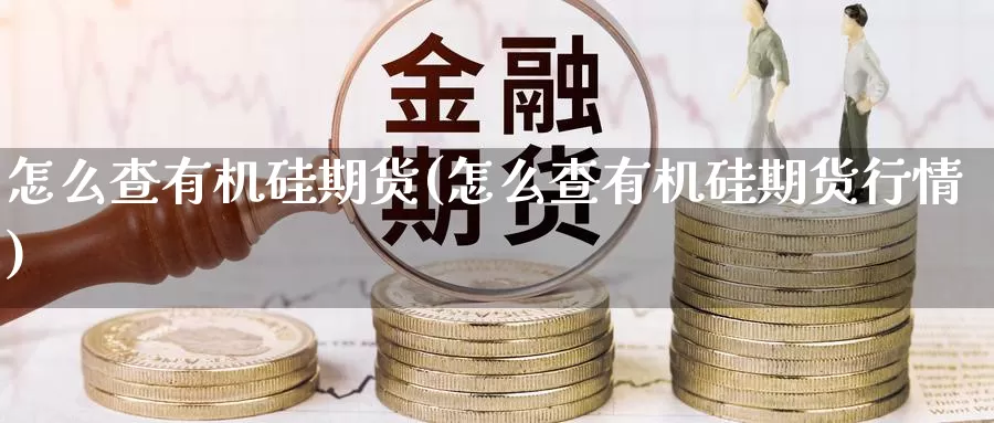 怎么查有机硅期货(怎么查有机硅期货行情)_https://www.chizhuzhu.com_期货直播室_第1张