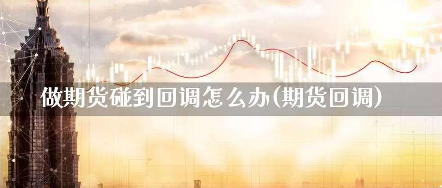 做期货碰到回调怎么办(期货回调)_https://www.chizhuzhu.com_国际期货_第1张