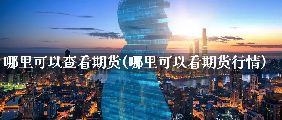 哪里可以查看期货(哪里可以看期货行情)_https://www.chizhuzhu.com_国际期货_第1张