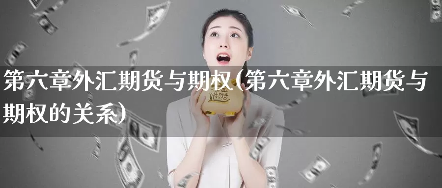 第六章外汇期货与期权(第六章外汇期货与期权的关系)_https://www.chizhuzhu.com_期货直播室_第1张