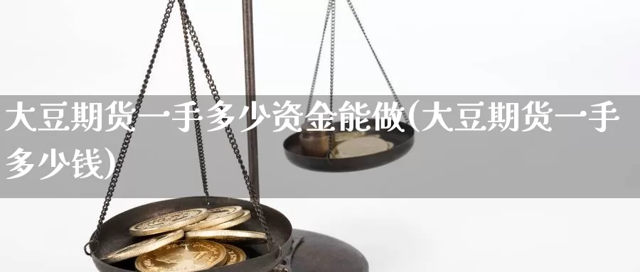 大豆期货一手多少资金能做(大豆期货一手多少钱)_https://www.chizhuzhu.com_期货入门_第1张