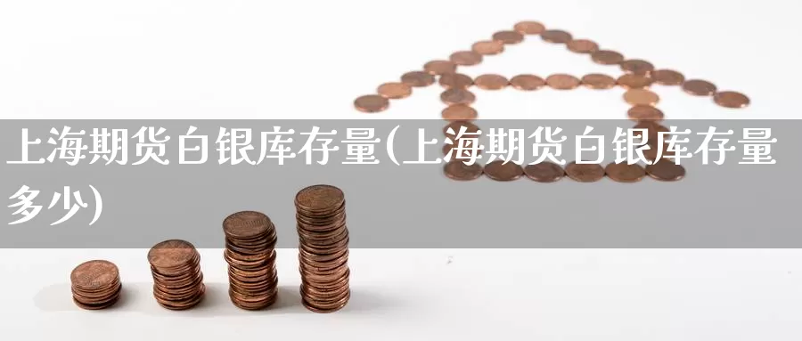 上海期货白银库存量(上海期货白银库存量多少)_https://www.chizhuzhu.com_期货行情_第1张