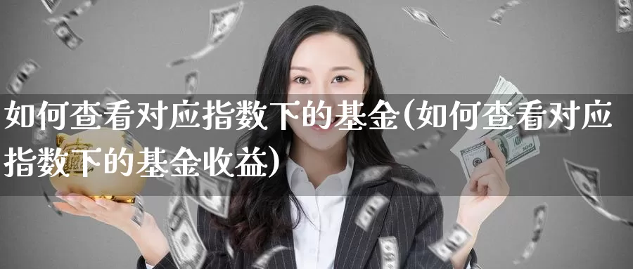 如何查看对应指数下的基金(如何查看对应指数下的基金收益)_https://www.chizhuzhu.com_国际期货_第1张