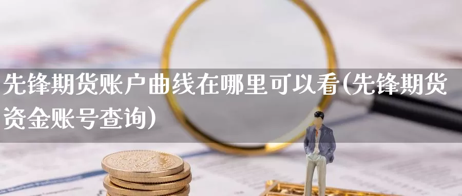 先锋期货账户曲线在哪里可以看(先锋期货资金账号查询)_https://www.chizhuzhu.com_期货直播室_第1张